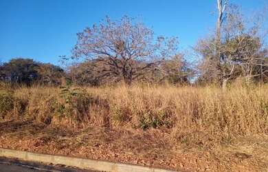 Imagem 2: Terreno, 1000 m², Jequitibá, à venda por R$ 100.000