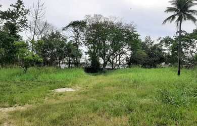 Imagem 11: Área para Venda em Rio de Janeiro, Guaratiba Ilha da Guaratiba