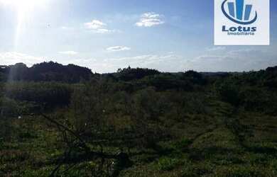 Imagem 7: Ótima área à venda, para condomínio ou galpões, Vargeão, Jaguariúna