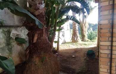 Imagem 13: Casa com 3 dormitórios, 380 m² - venda por R$ 2.000.000,00 ou aluguel...