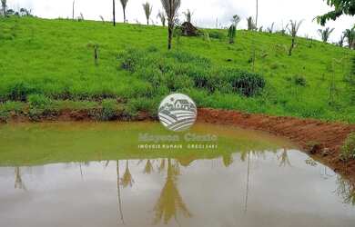 Imagem: A fazenda possui 262000m² de Área e está localizado em Vale