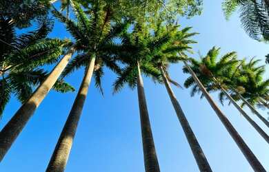 Imagem 2: Terreno em Condomínio para Venda em Limeira, Residenciais Fazenda Itapema