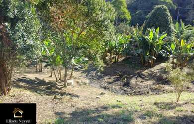 Imagem 11: Vendo Terreno no bairro Lagoa das Lontras em Miguel Pereira - RJ