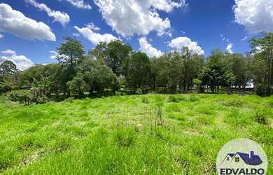 Imagem 15: Terrenos 1000mtrs para chácara em Ibiúna