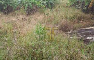 Imagem 5: Chácara 4 Alqueires, Santa Cruz de Goiás, GO