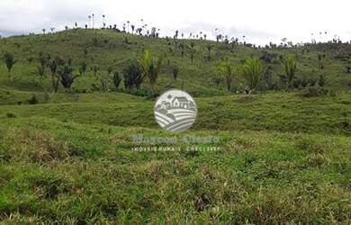 Imagem: Alto Paraíso - Fazenda - 65 Alqueires