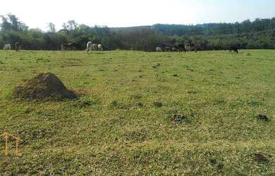 Imagem 2: Área Rural à venda, 128986 m² por R$ 3.869.580 - Distrito Industrial do Lageado - Salto/SP