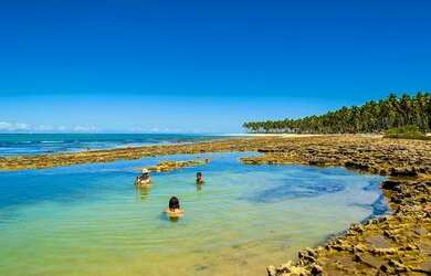 Imagem 4: Casa para venda na praia dos Carneiros - Tamandaré - PE