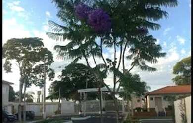 Imagem 4: Casa de condomínio para venda tem 52m2 com 2 quartos em Vila Militar...