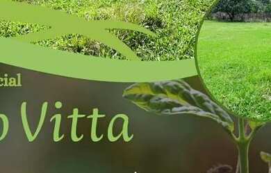 Imagem: O terreno possui 600m² de Área e está localizado em Centro