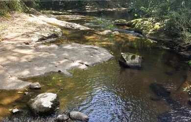 Imagem 2: Terrenos 20.000 m² - Santa Lucia do Piaí - Caxias do Sul