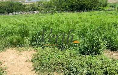 Imagem: A fazenda possui 2.000m² de Área e está localizado em Centro