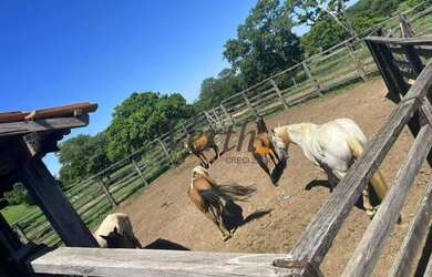 Imagem 3: fazenda - Centro - Montes Claros