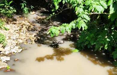 Imagem 10: Sítio / Chácara para Venda em Nova Petrópolis, Fazenda Pirajá