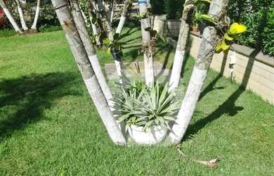 Imagem 6: Apartamento à venda condomínio Pontões Barra da Tijuca