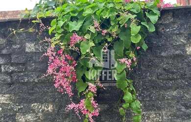 Imagem 7: Casa com 4 dormitórios à venda, 600 m² por R$ 1.272.000,00 - Cordeirinho...