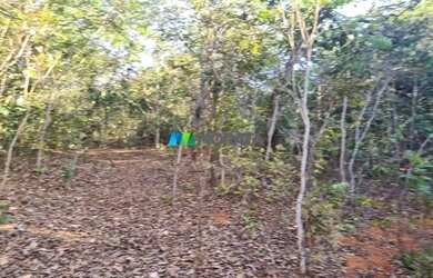 Imagem 10: FAZENDA À VENDA - 193 HECTARES - INIMUTABA MG