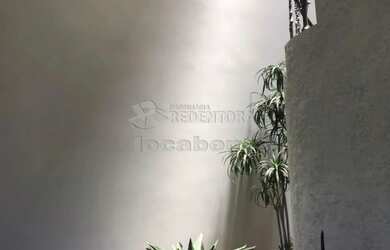 Imagem 11: Jardim Alto Rio Preto sobrado contendo 3 dormitórios