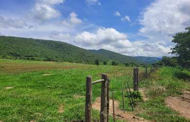 Imagem 15: Fagenda a Venda. 1.541m² de Área