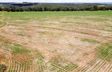 Imagem: A fazenda e está localizado em MG à venda por R$4.700.000