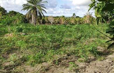 Imagem 13: Terreno para Venda em Porto Seguro, Trancoso