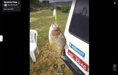 Imagem 15: Terreno à venda, Nova Vista, São Gonçalo do Abaeté, MG