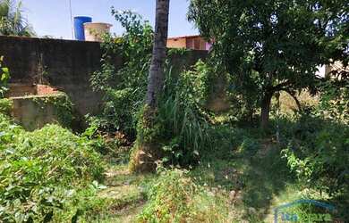 Imagem 3: Terreno residencial à venda, Parque Jockey Clube, Lauro de Freitas