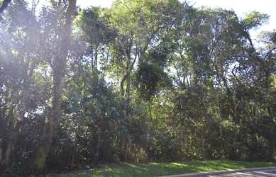 Imagem 5: Terreno à venda, 800 m² por R$ 649.500,00 - Vila Suíça - Gramado/RS