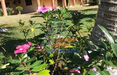 Imagem 3: CHÁCARA 2.984m², BAIRRO ARARAS DOS PEREIRA, ASFALTO NA PORTA, VISTA...