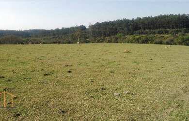 Imagem 5: Área Rural à venda, 128986 m² por R$ 3.869.580 - Distrito Industrial do Lageado - Salto/SP