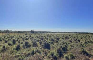 Imagem 13: Fazenda em Formoso do Araguaia