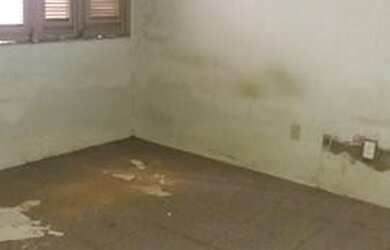 Imagem 14: 11475/01 -Casa Residencial - Av Gayoso de AlemendraSao Joao