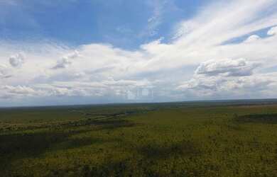 Imagem: A fazenda possui 13.000m² de Área, Imóvel novo e está localizado