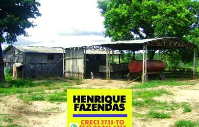 Imagem 6: Fazenda 2.899,16 hectares em Novo Acordo