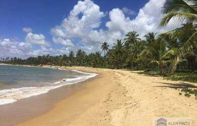 Imagem 3: Terreno à venda, 123000 m² por R$ 10.000.000,01 - Catu de Abrantes -...