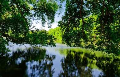 Imagem 5: Terreno em Condomínio para Venda em Limeira, Residenciais Fazenda Itapema