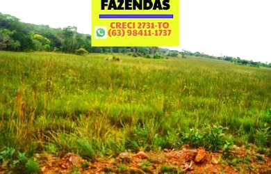 Imagem 9: Fazenda 2.899,16 hectares em Novo Acordo