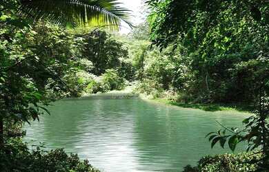 Imagem 4: Terreno à venda, 521 m² por R$ 443.649,00 - Granja Viana - Cotia/SP