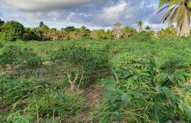 Imagem 8: Terreno para Venda em Porto Seguro, Trancoso