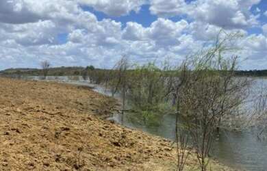 Imagem: A fazenda possui 98.000m² de Área e está localizado em São