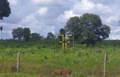 Imagem 3: Fazenda 40 Alqueires, Conceição do Araguaia, PA
