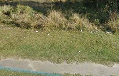 Imagem 6: Área à venda, 5000 m² por R$ 3.000.000,00 - São Gabriel - Colombo/PR