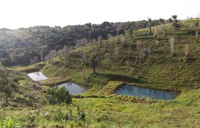 Imagem 6: Fazenda para venda possui 250000 metros quadrados em Zona Rural - Santa...