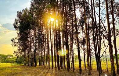 Imagem: A fazenda possui 1000m² de Área e está localizado em Centro