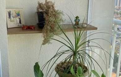 Imagem 16: Apartamento à venda, 61 m² por R$ 480.000,00 - Vila Prudente Zona Leste...