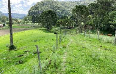 Imagem 14: Imóvel Rural/Terreno Rural