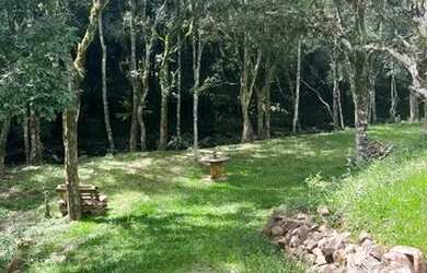 Imagem 5: Terrenos 20.000 m² - Santa Lucia do Piaí - Caxias do Sul