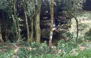 Imagem 4: Terrenos 20.000 m² - Santa Lucia do Piaí - Caxias do Sul