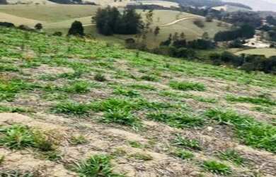 Imagem 9: Lote/Terreno para venda tem 500 metros quadrados em Usina - Atibaia -...