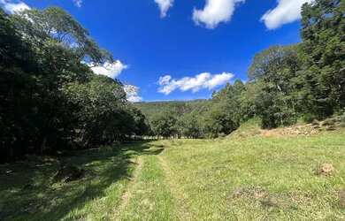 Imagem 10: Terrenos 20.000 m² - Santa Lucia do Piaí - Caxias do Sul